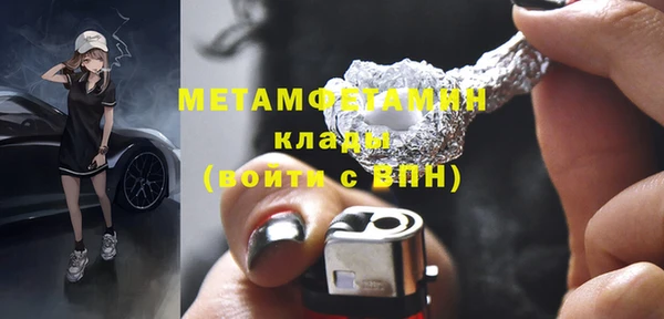 прущие грибы Бикин