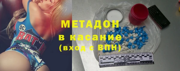 прущие грибы Бикин