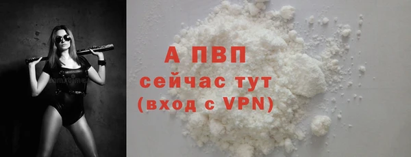 сатива Болохово