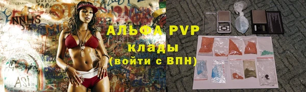 сатива Болохово