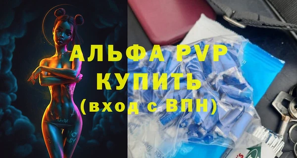 сатива Болохово