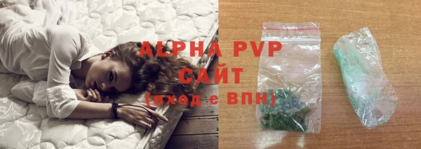прущие грибы Бикин