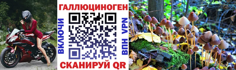Псилоцибиновые грибы MAGIC MUSHROOMS  Зея 