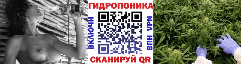 Каннабис ГИДРОПОН Зея